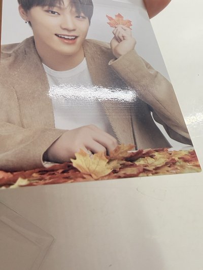 燦 楓葉卡🦦🍁·˚.𖤣｡ﾟ‪‪𖥧