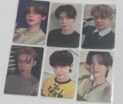 原皮黃春+竣中背小盤