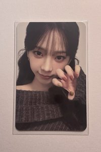 二巡貓抓柚（+冬）