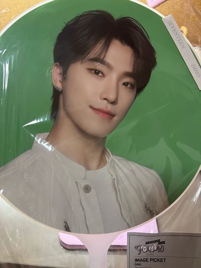 李燦大扇盤