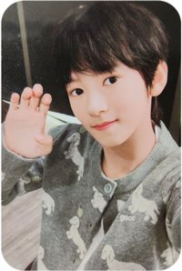 危險的關係 B組 隨機卡 