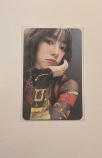 四星柚（中背）