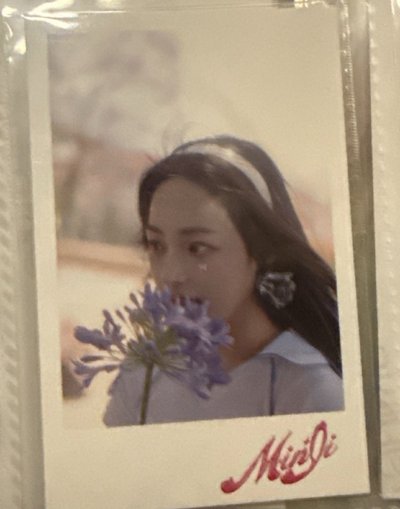 am特典貓+另一張特典合售