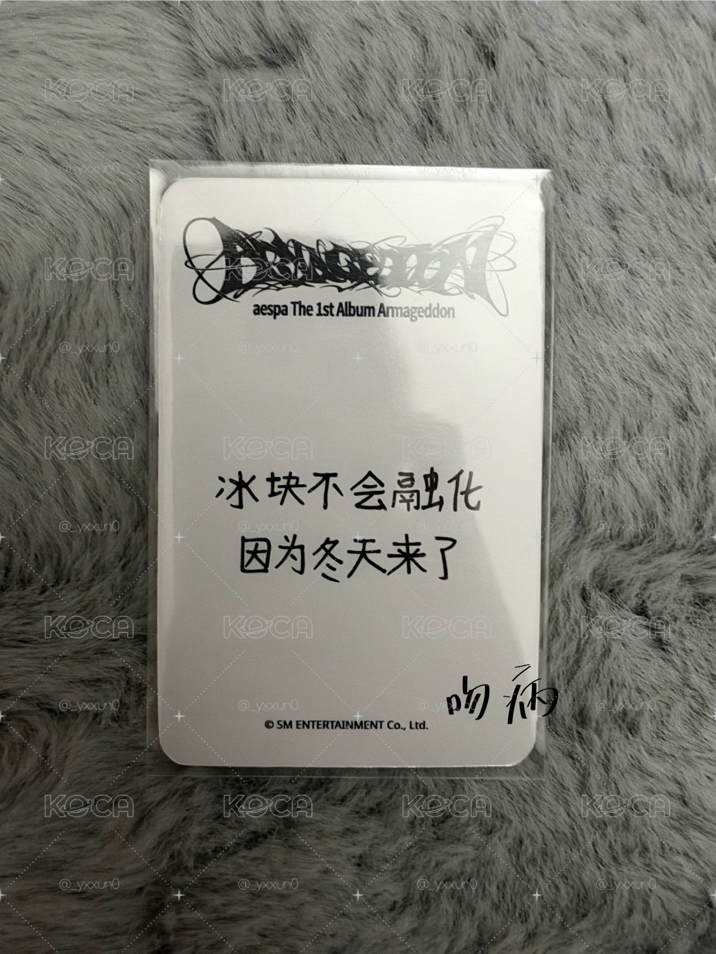 冬天 中文卡背區