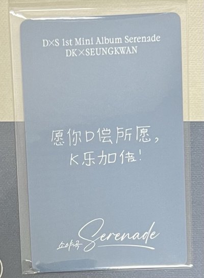 𝐃x𝐒｜yzy 1.0 中文卡背｜碩珉