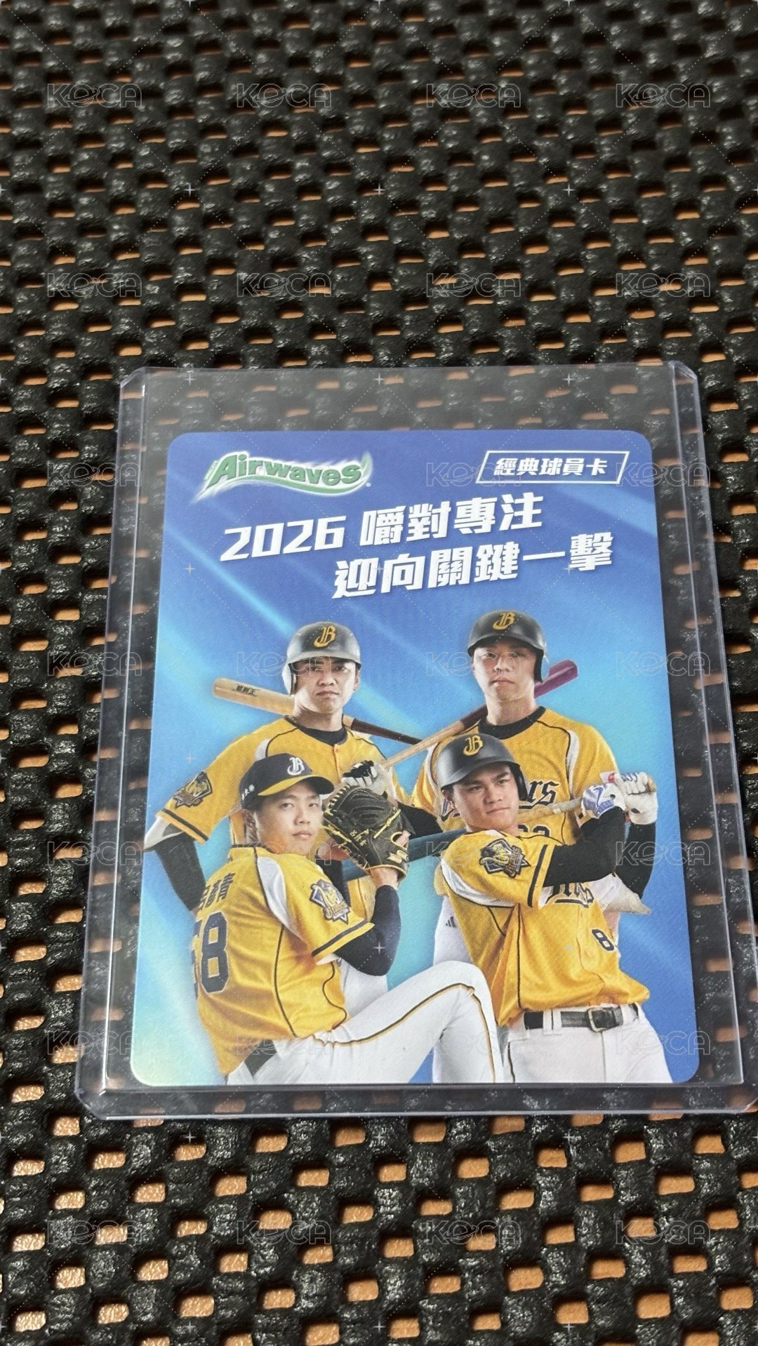 詹子賢