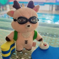 椅子交通卡即將發貨