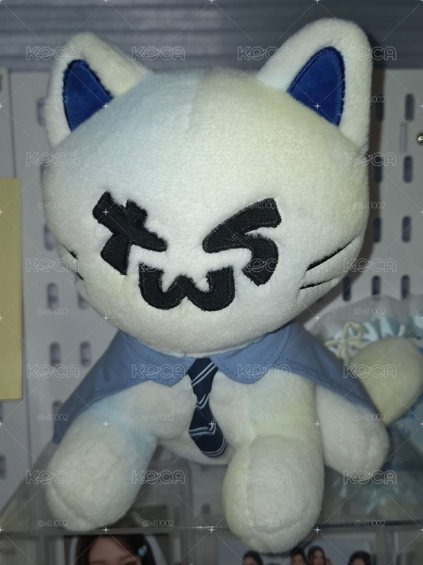 萌萌貓貓