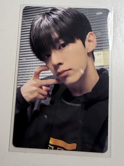 道勳中背「小狗护身符」