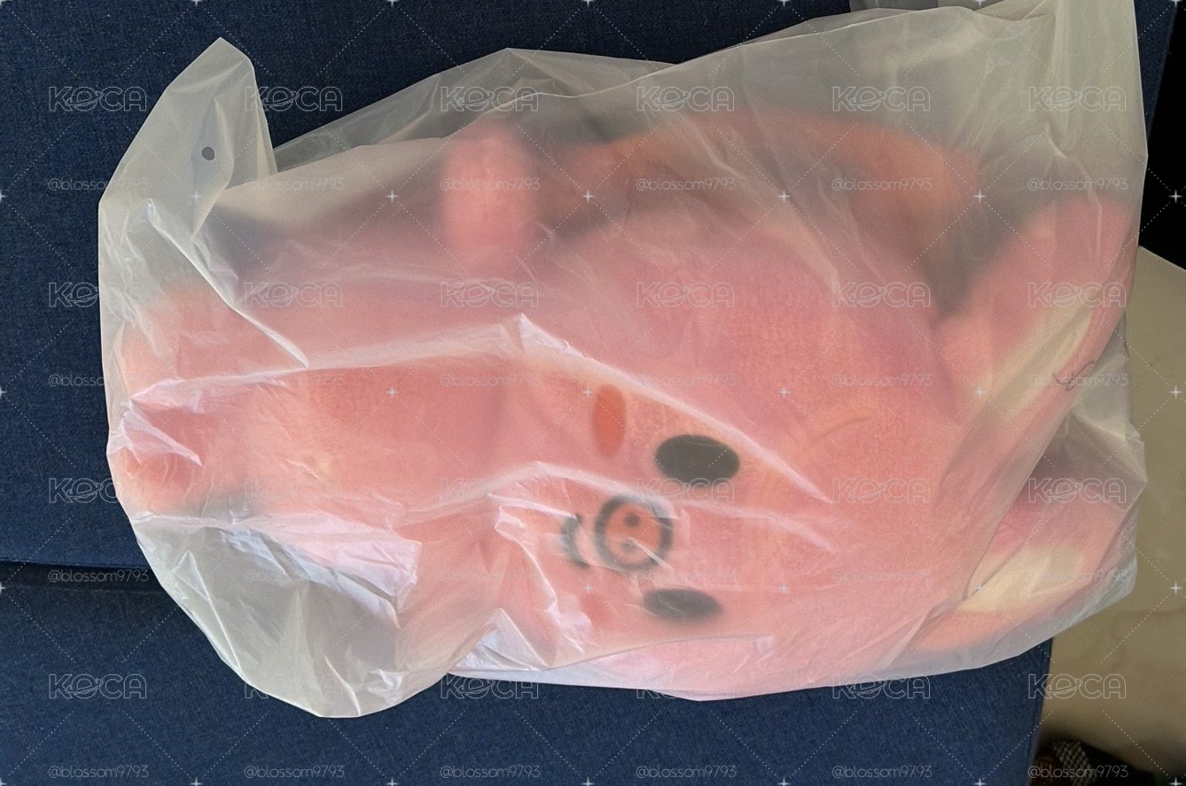 豬兔 後背包