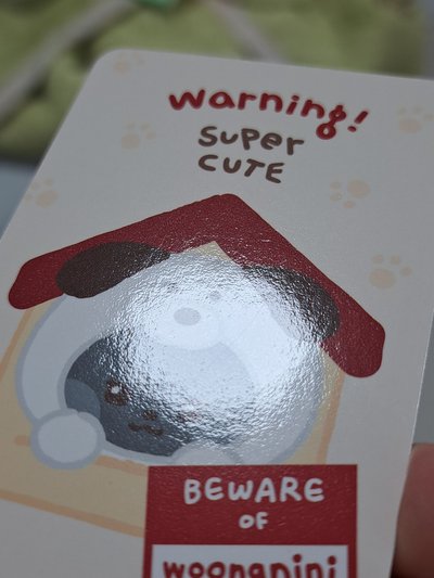 zeroni FW 滿額卡雄