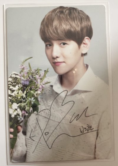 自然樂園小卡 伯賢beaekhyun