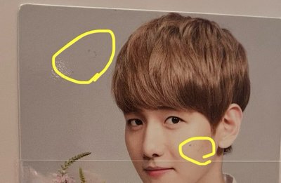 自然樂園小卡 伯賢beaekhyun