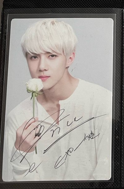 自然樂園小卡 世勳Sehun 