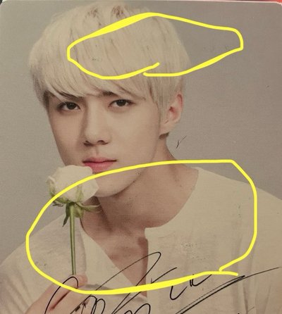 自然樂園小卡 世勳Sehun 