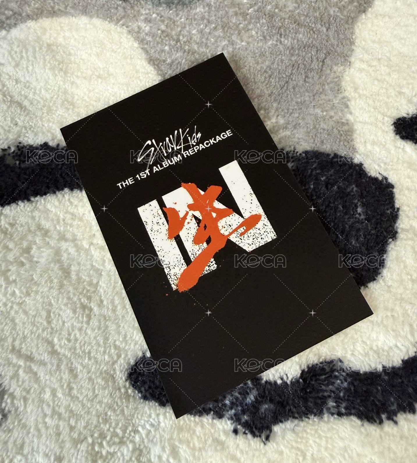 IN生 WD特典 Limited ver. 🐺燦