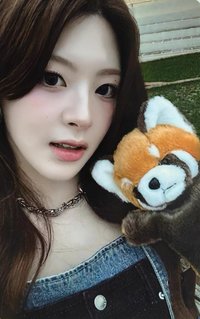 S sr 1.0 簽售卡 小熊貓