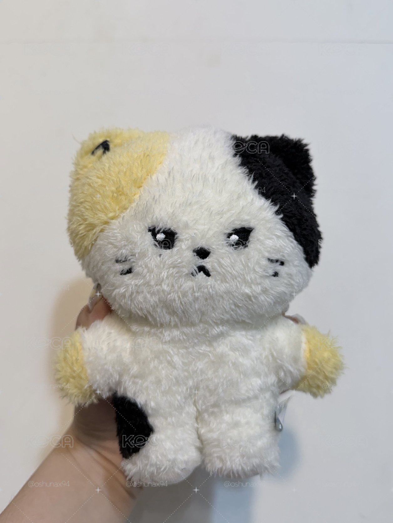 Zb1 rinini 鋭尼尼 18cm 站姿娃
