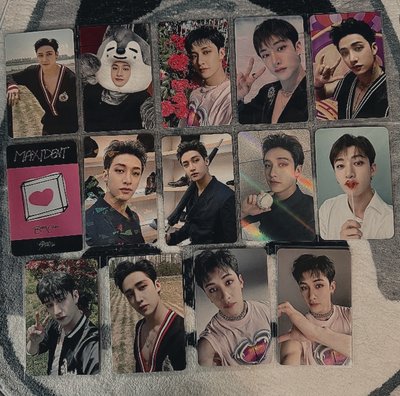 MAXIDENT 系列 特典/專卡 🐺燦