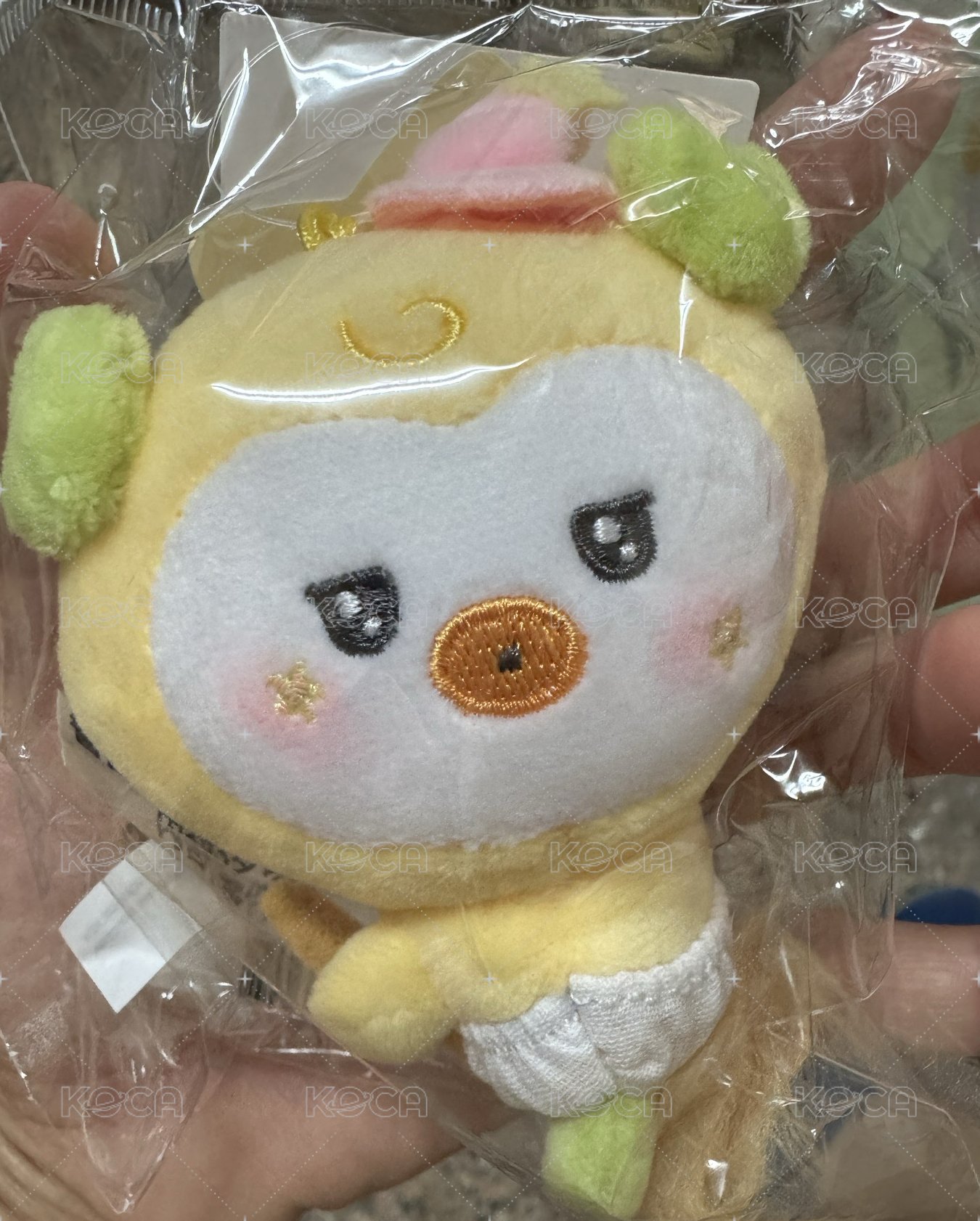 騎掃帚的小雞