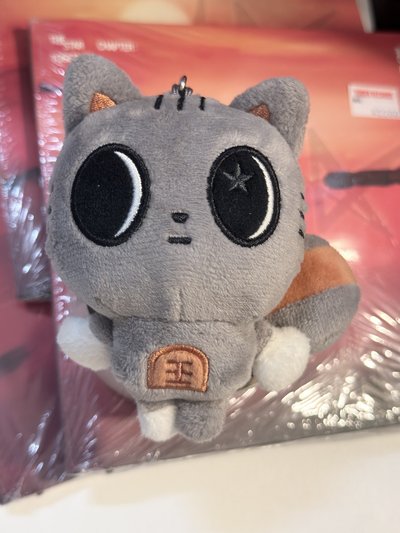 （現貨 可當日寄出）TXT 原皮喵+3本正規四未拆 松喵