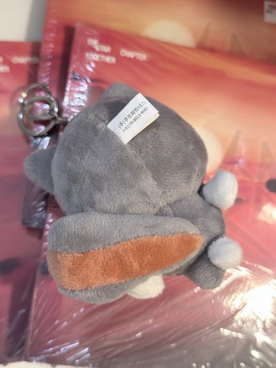 （現貨 可當日寄出）TXT 原皮喵+3本正規四未拆 松喵