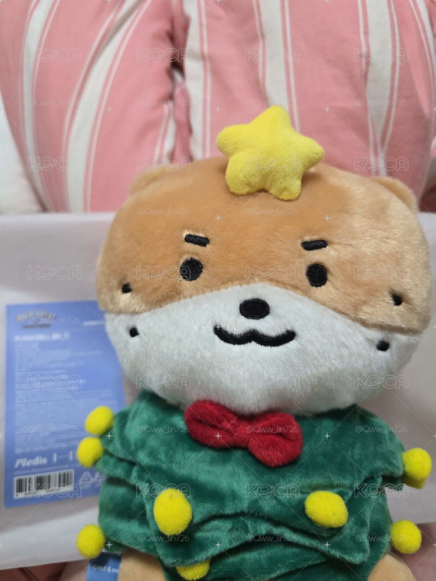 聖誕站娃燦達哩