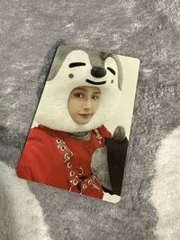 SW特典 skzoo大頭燦🐺