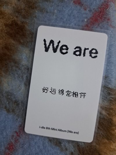 中文卡背黑嘴唇麵麵