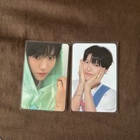 年曆樹 兩張不拆（綁物）