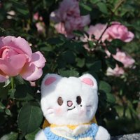 寶寶超可愛ᖛ ̫ ᖛ )⟡