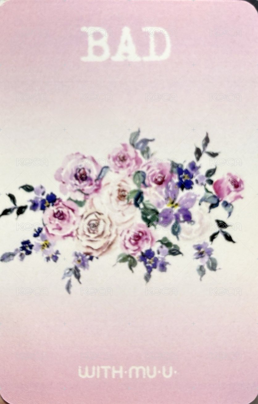 BAD wm 3.0 簽售卡  背面