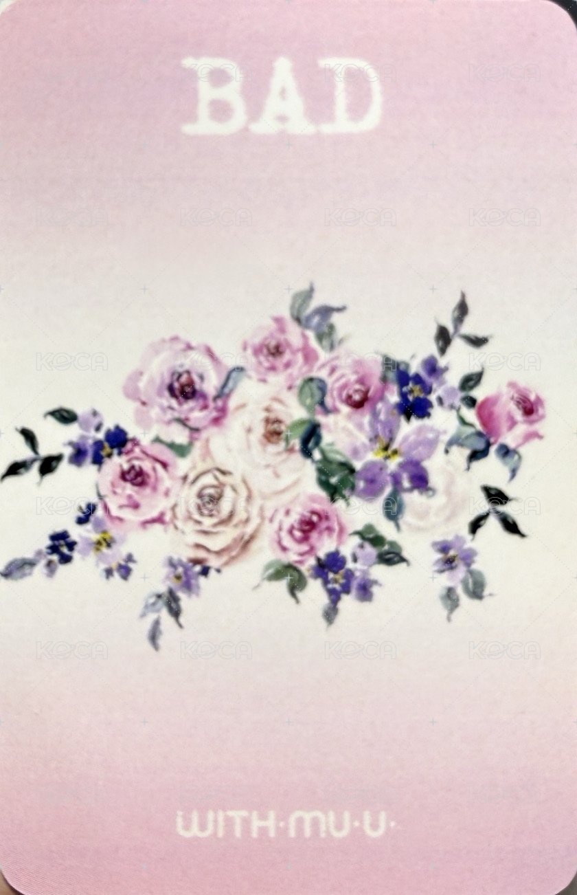 BAD wm 3.0 簽售卡  背面