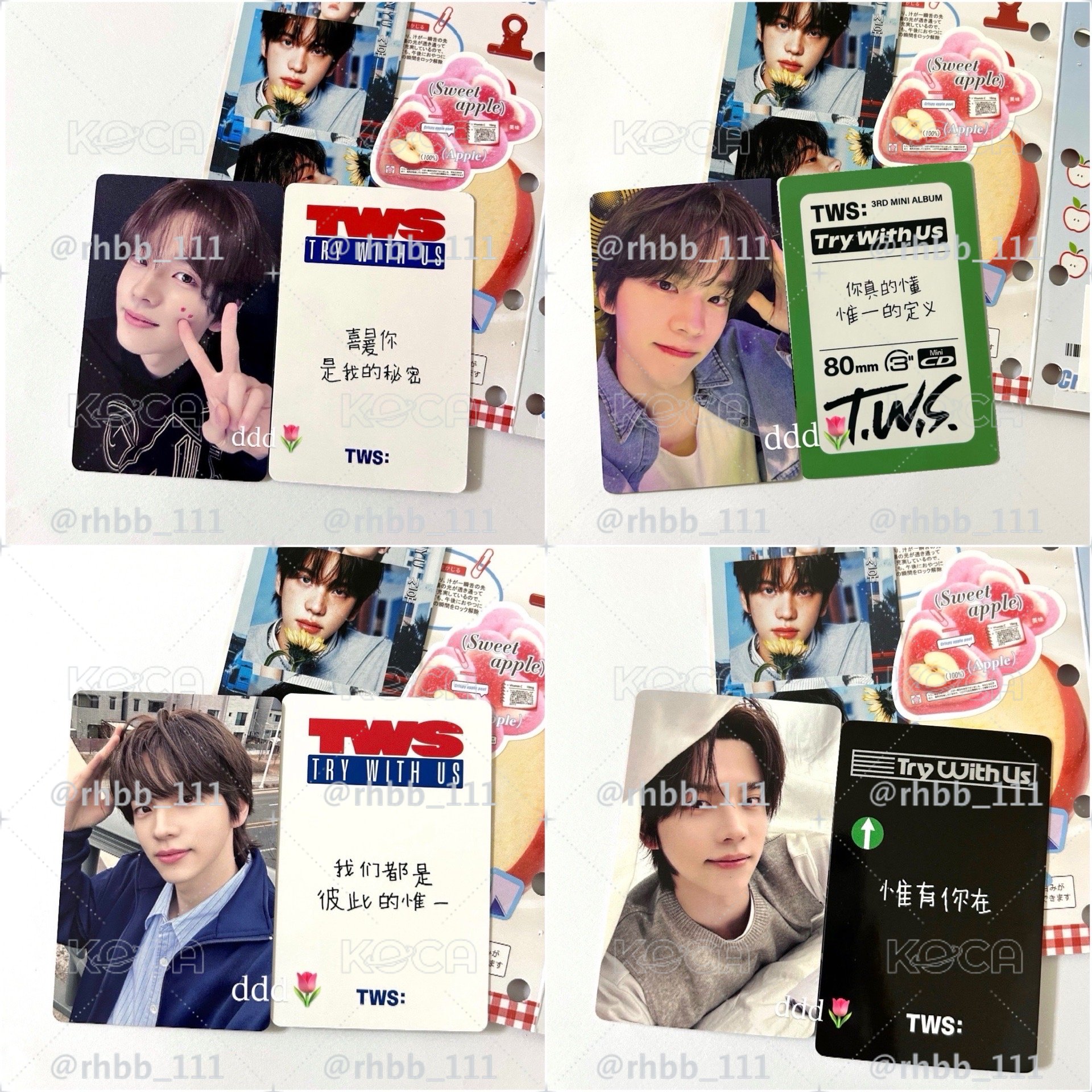 更❗️申惟多中文卡背💕