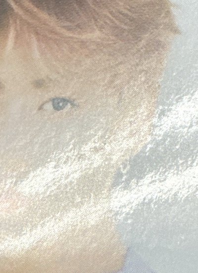 2019 季節問候年曆 證件照