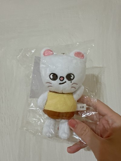 燦辰set小盤+小貂布丁娃🐺🥟