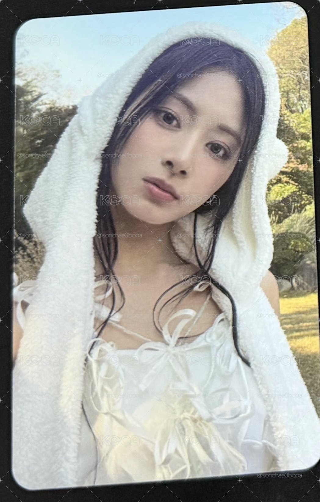熊帽瑜