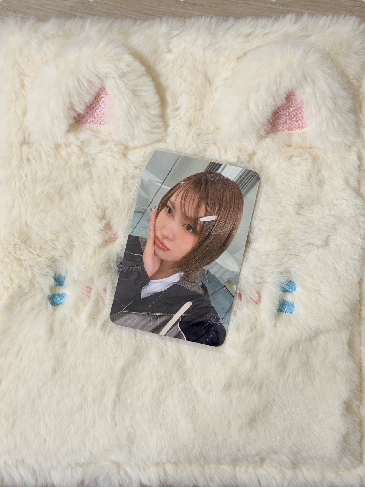 Momo直出