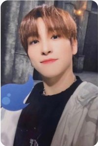 我獨自升級 上淵 專輯卡 