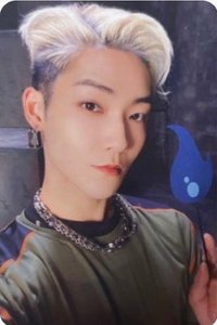 我獨自升級 KEVIN 專輯卡 