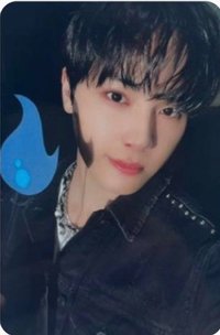 我獨自升級 鶴年 專輯卡 