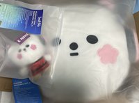 櫻花世巡娃+抱枕