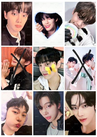 冬季奎尼尼 小卡