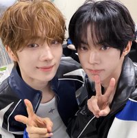 一隻豚鼠萌萌>ᴗo