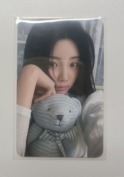 🔴釜山禧（抱熊禧）