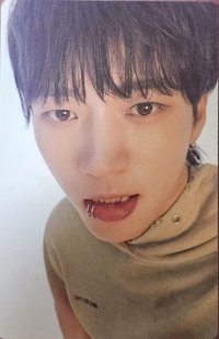 Tree Ring 專輯卡 Ring ver