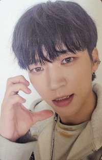 Tree Ring 專輯卡 Tree ver