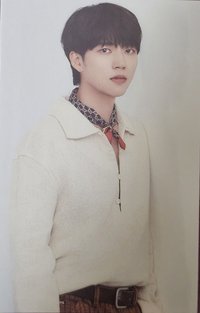 Tree Ring 專輯卡 布料卡 Tree ver