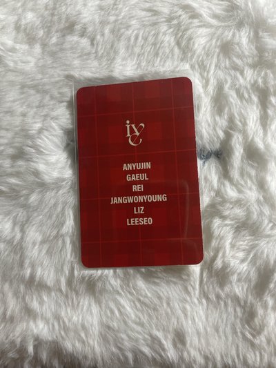 LIZ IVE SECRET 2025 MBC / KBS 入場卡 / 場限卡 