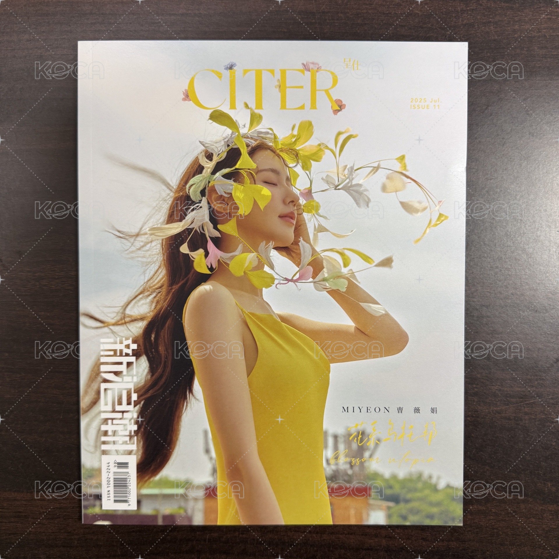雜誌C版